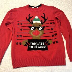 Youth Christmas Sweater, Ugly/Cute/Funny, Size 14